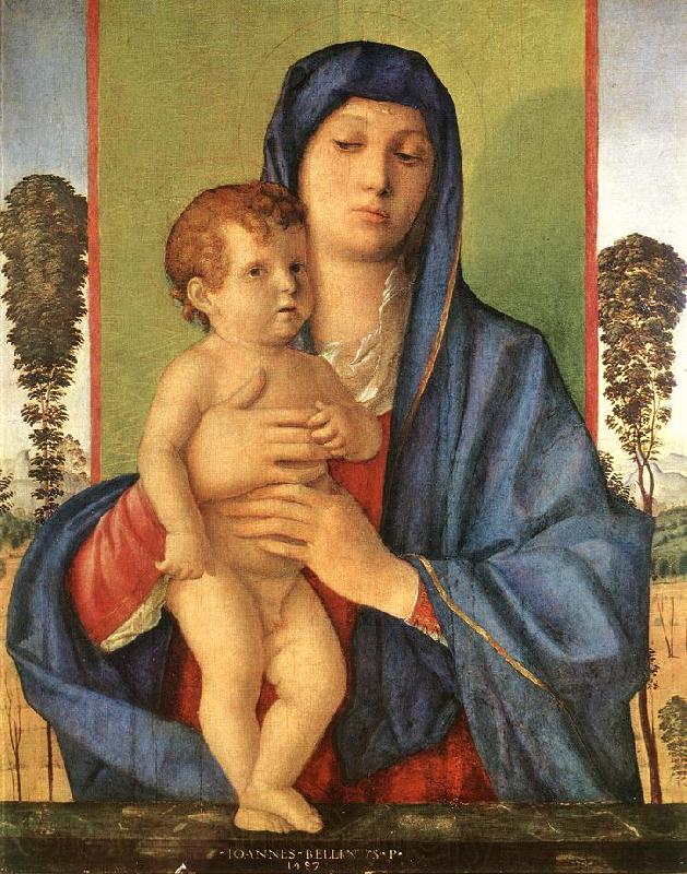BELLINI, Giovanni Madonna degli Alberetti  25 Spain oil painting art
